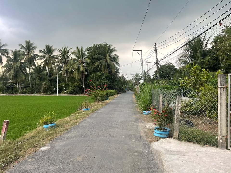 Đất nền Gò Công Tây, 250m², giá 480 triệu - Kinh doanh sầm uất!