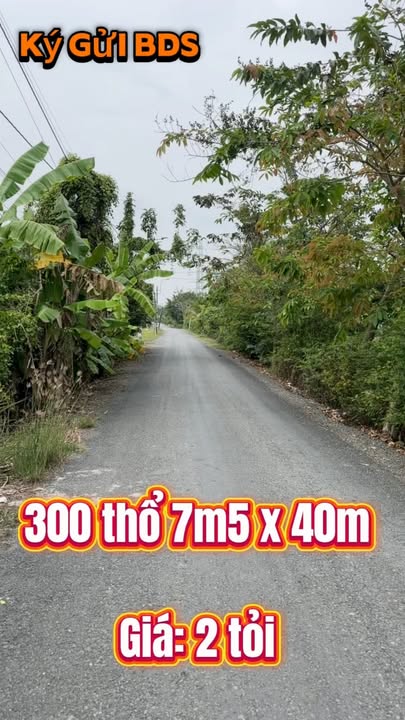 Đất thổ cư 300m² Phước Lâm, Cần Giuộc, Long An - Giá chỉ 2 tỷ!