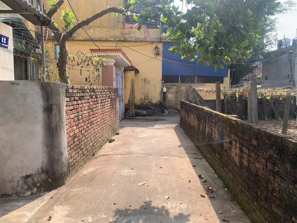 Đất nền xóm 3 Tự Nhiên, 80m² chỉ 3.6 tỷ - Ô tô vào tận nơi!