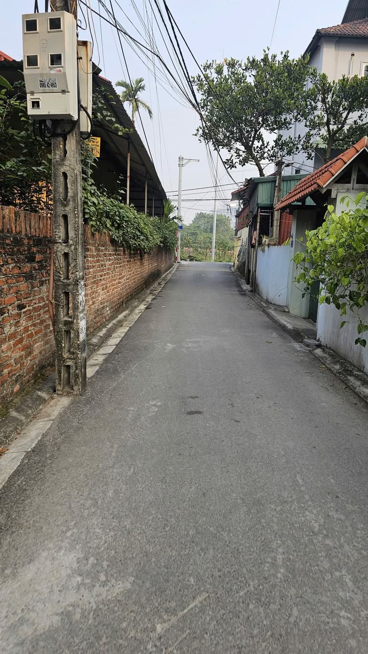 Đất nền Đào Xuyên, Gia Lâm 43,5m² giá 4,25 tỷ - Lô góc siêu hiếm, ô tô vào tận nơi!