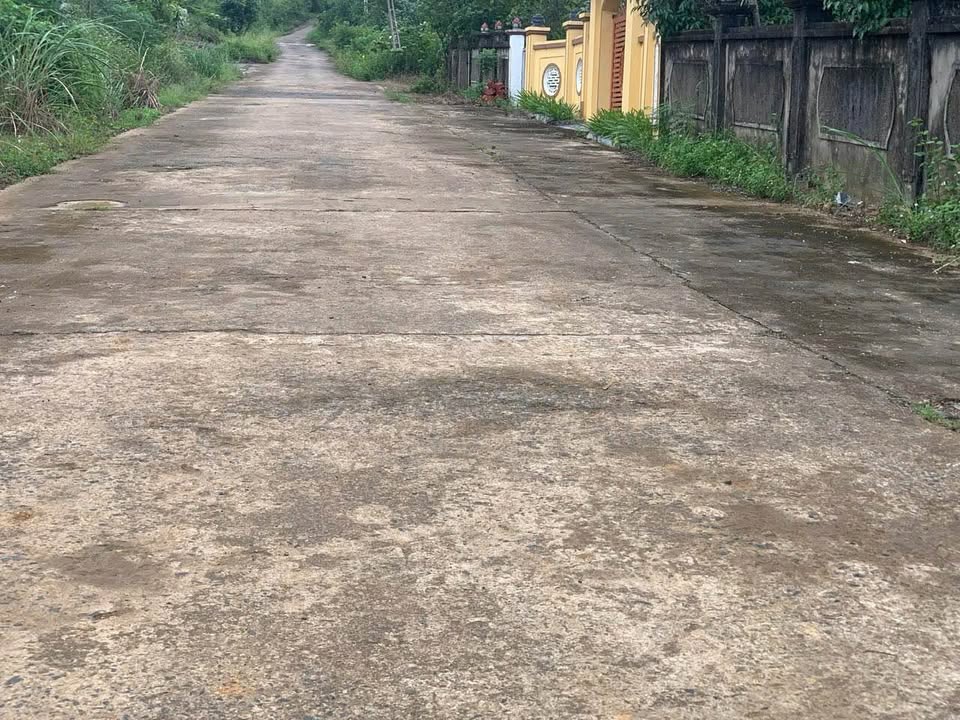 Đất nông nghiệp Cẩm Tú, Cẩm Thủy 60,000m² giá 7 tỷ - Đầu tư sinh lời ngay!