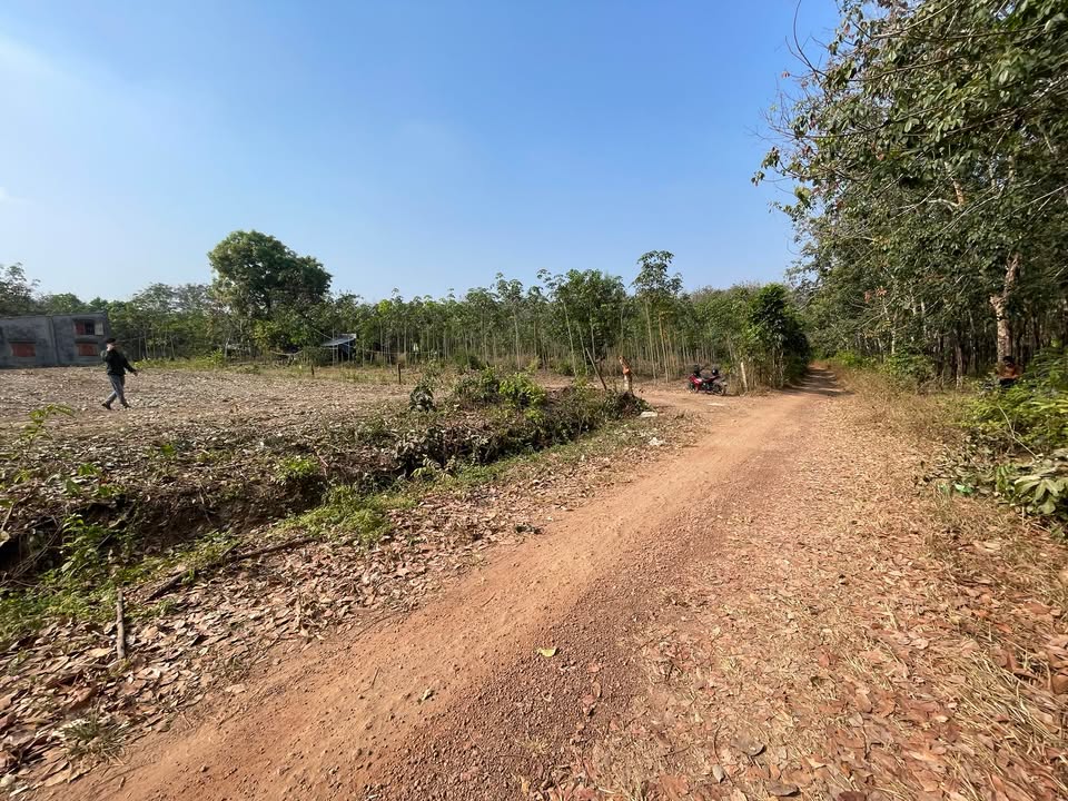 Đất thổ cư 2550m² tại trung tâm Tằng Hách - Giá chỉ 1xx triệu, cơ hội đầu tư tuyệt vời!