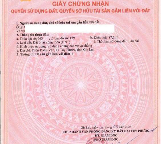 Đất nền lô góc Khu Diêm Vân - Phước Thuận 87,5m² - Giá tốt, vị trí đắc địa!