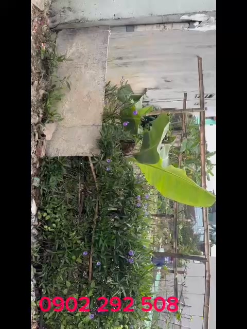 Đất nền 123m² tại mặt bằng vườn bia, Hoằng Hóa - Giá chỉ 3 tỷ, cơ hội vàng đầu tư!