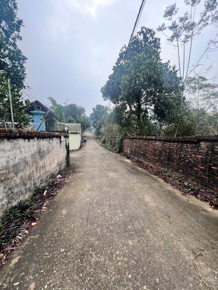 Lô đất 5.900m² tại Cẩm Lĩnh, Ba Vì - Giá tốt cho đầu tư hoặc nghỉ dưỡng!