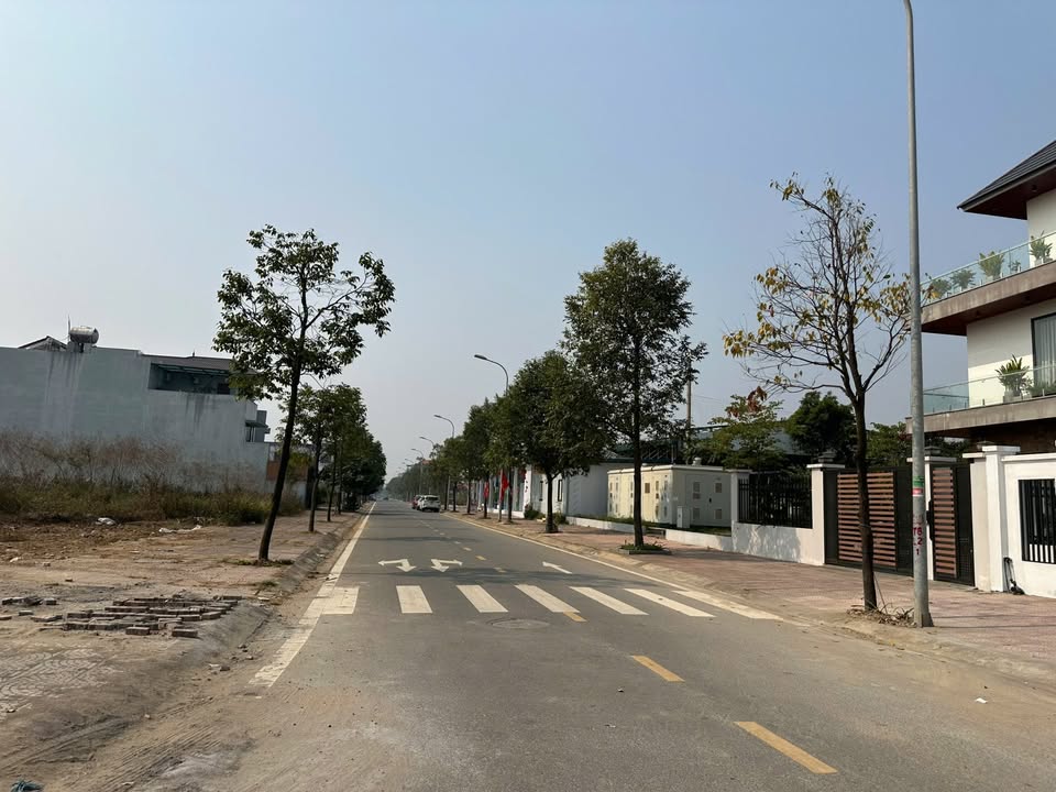 Đất biệt thự 300m² tại Khu Đô Thị Nam Vĩnh Yên - Giá tốt, cơ hội đầu tư tuyệt vời!