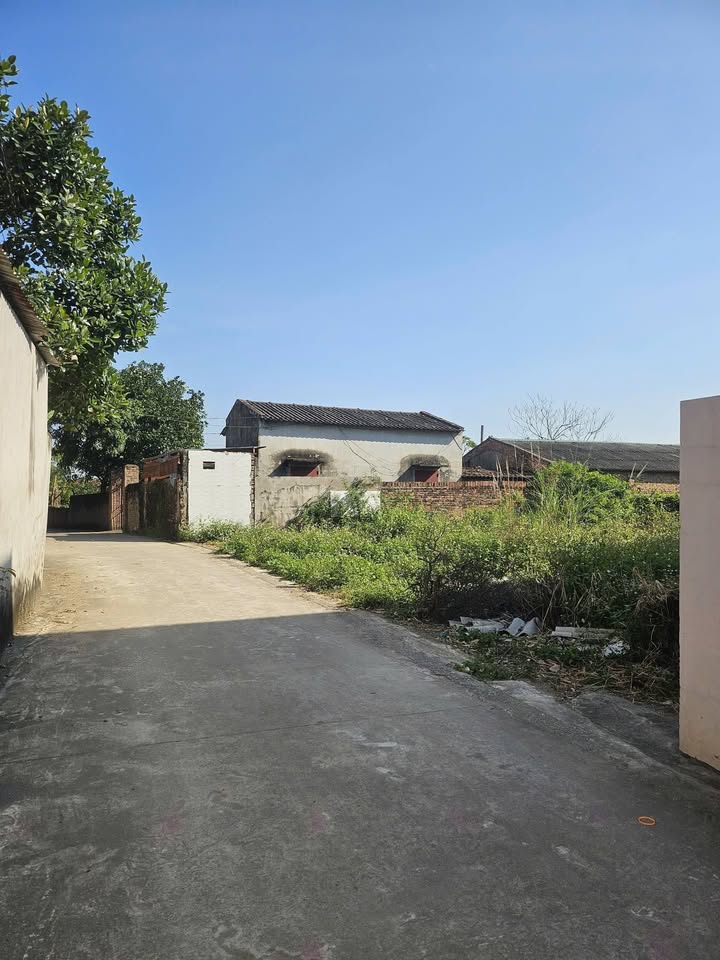 Đất nền Yên Lư, Bắc Giang 117m² - Giá thỏa thuận, cơ hội đầu tư tuyệt vời!