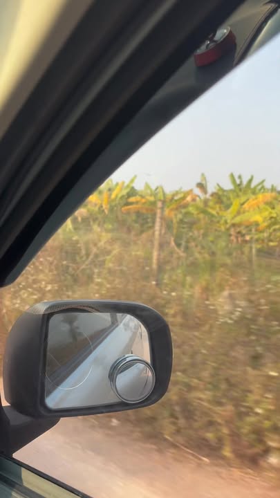 Farm đất thổ cư 300m² tại Tiên Lục - Sẵn sàng ở ngay trước Tết!