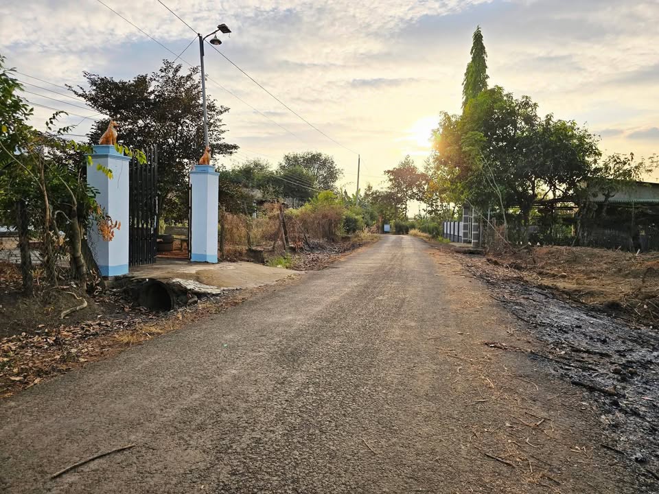 Đất nền 975m² tại Thiện Hưng, Bù Đốp giá 45 tỷ - Cơ hội đầu tư hiếm có!