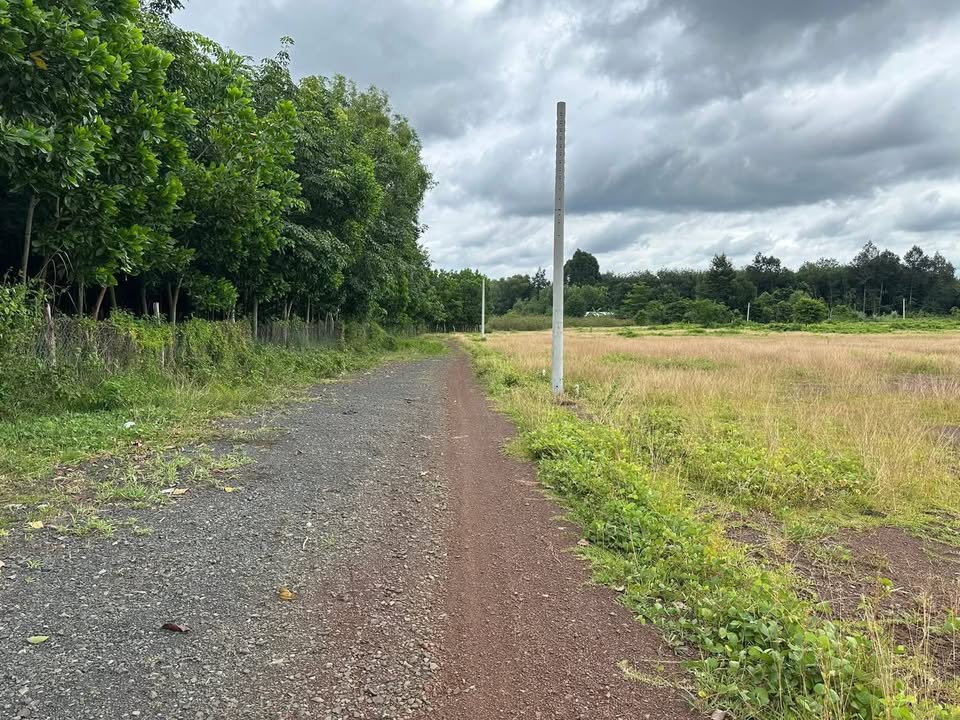 Đất nền xã Tân Tiến, huyện Văn Giang 3000m² giá 160 triệu - Cơ hội đầu tư tuyệt vời!