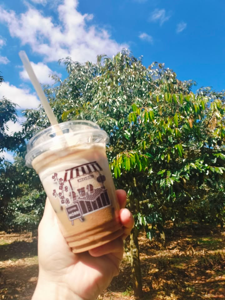 Đất nền mặt tiền Lê Văn Hưu, Đắk Lắk - Diện tích 230m² chỉ 1.95 tỷ