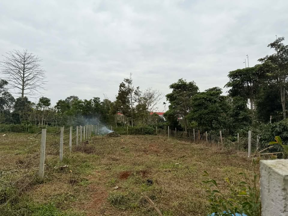 Đất thổ cư Phường Bình Tân 320m² giá 1.3 tỷ - Cơ hội đầu tư tuyệt vời!