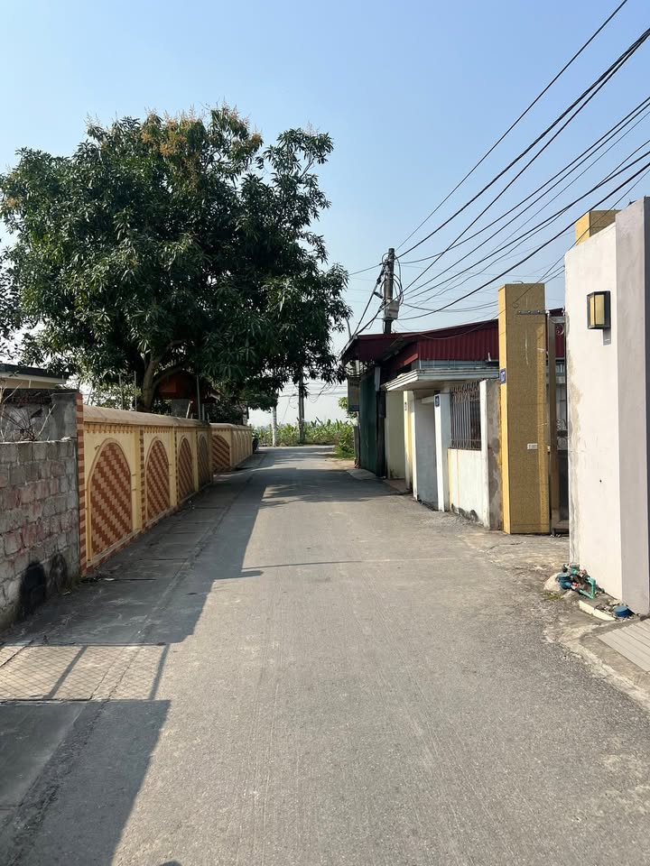 Đất nền đường nhựa thông Tân Tiến An Dương 160m² chỉ 2.1 tỷ - Sổ đỏ chính chủ!