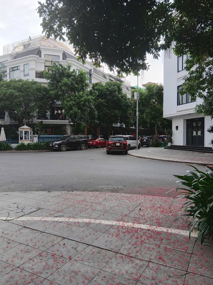 Nhà 5 tầng lô góc Nguyễn Đổng Chi 56m² giá 19 tỷ - Ô tô tránh, trung tâm Từ Liêm!