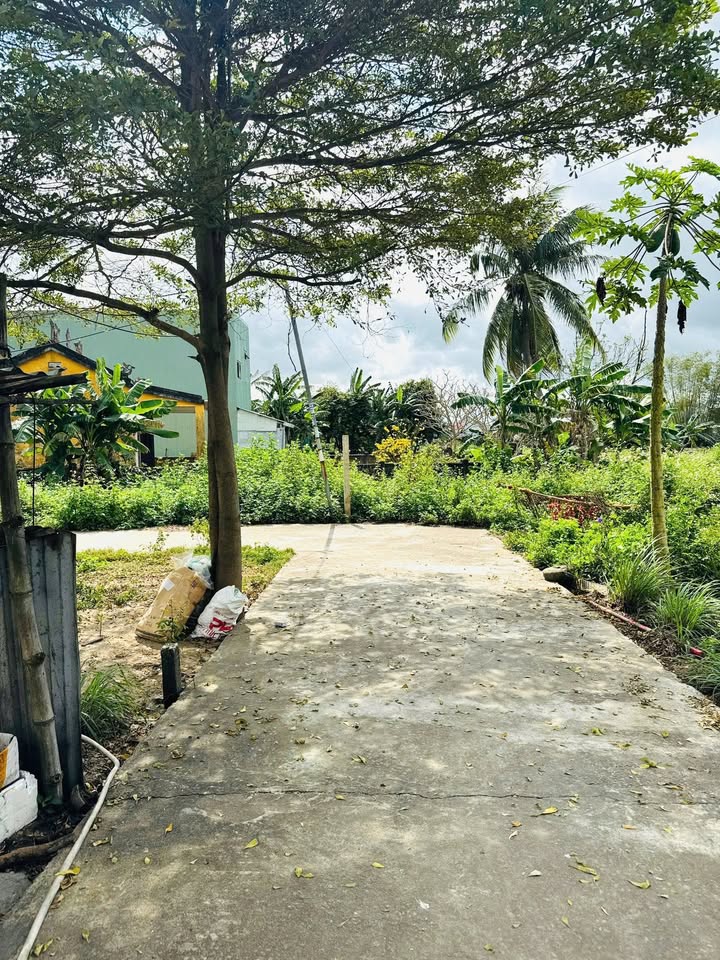 Đất liền kề đẹp tại Đường Trần Thủ Độ, Đà Nẵng - Giá chỉ 1.6 tỷ/lô!