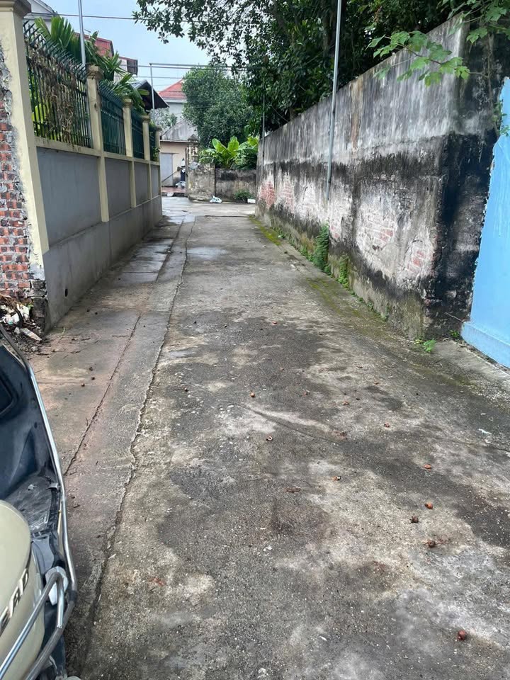 Đất nền Phong Triều, Nam Phong, 99m² giá 2 tỷ - Cơ hội đầu tư tuyệt vời!