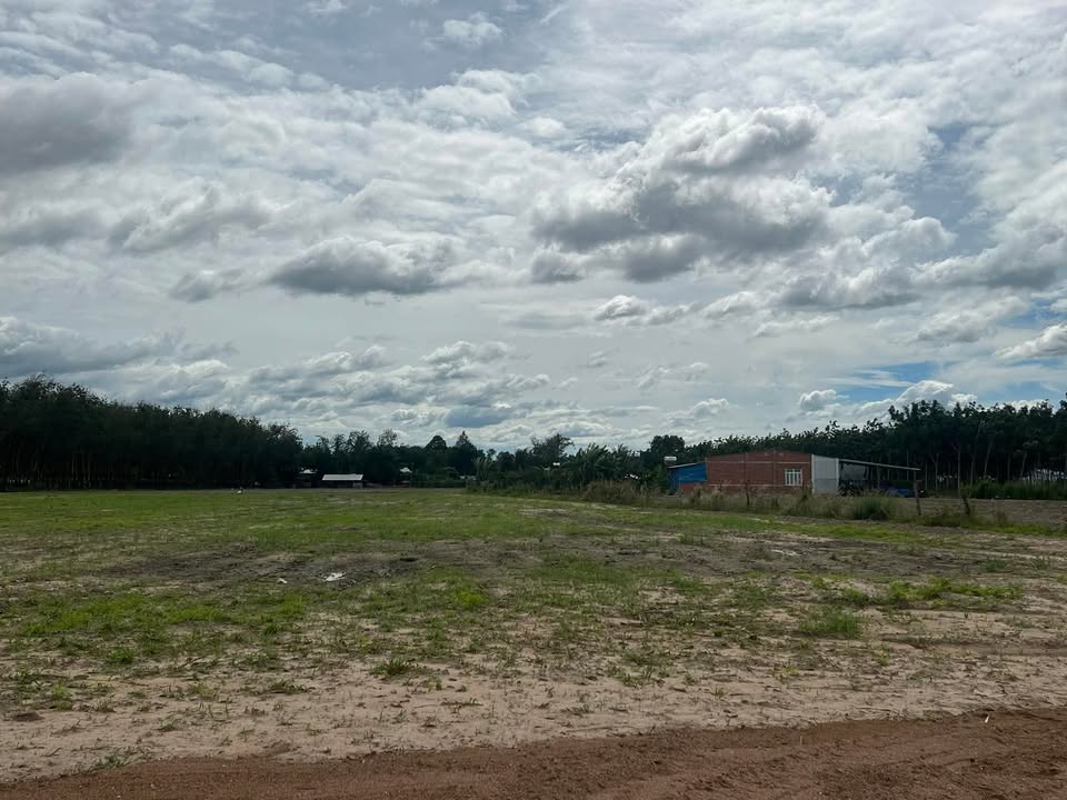 Đất thổ cư xã Thạnh Hưng, huyện Tân Hưng 250m² giá 250 triệu - Cơ hội đầu tư tuyệt vời!