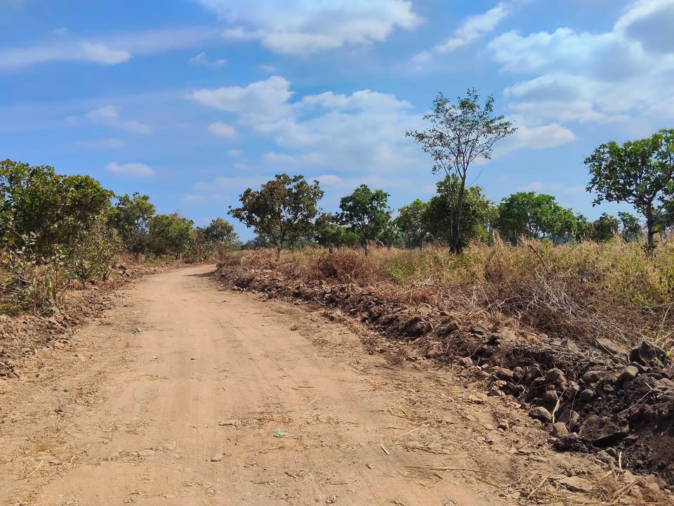 Đất nền 2ha tại Ea M'DRóh, Cư M'gar - Chỉ 899 triệu, công chứng gấp trước Tết!