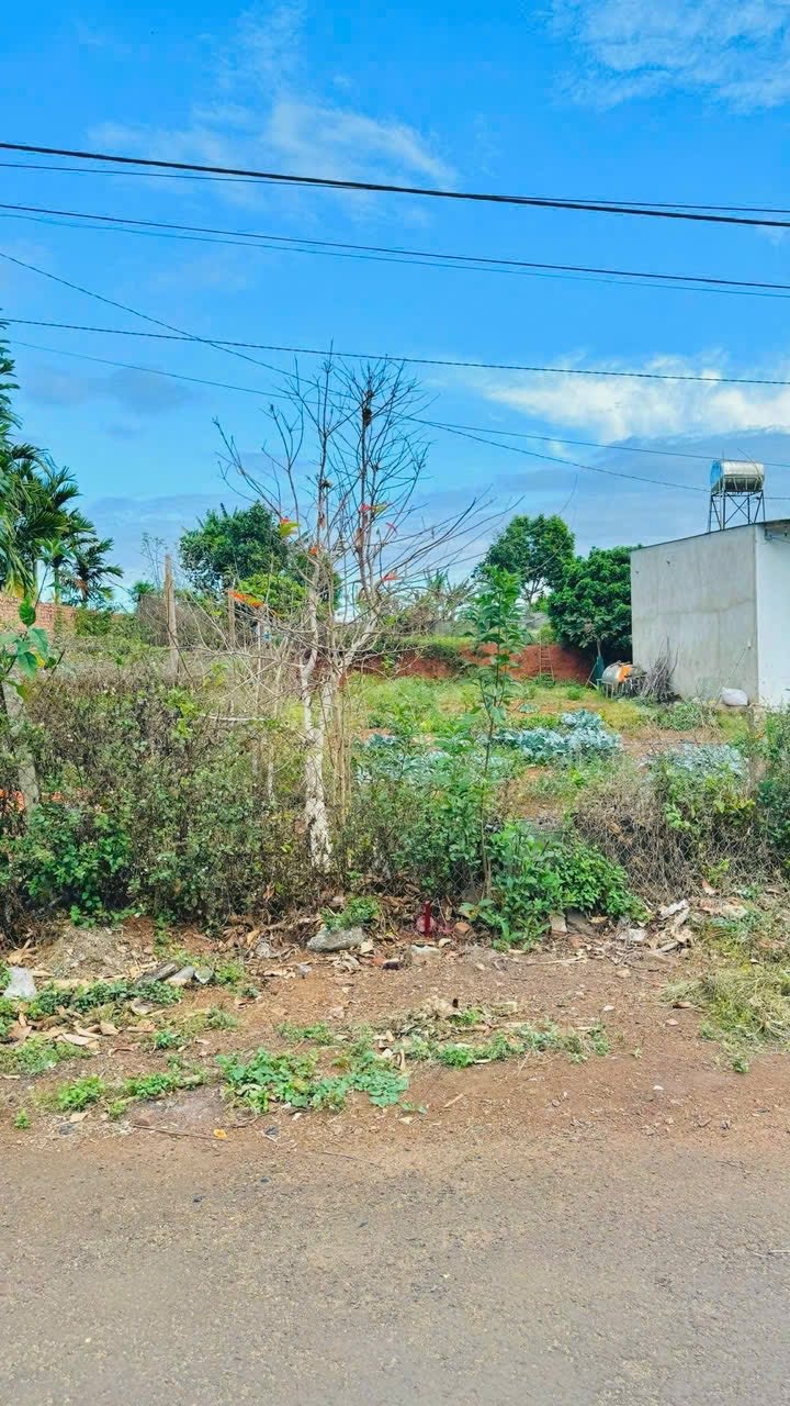 Đất thổ cư xã Ea Kao 210m² giá 1.55 tỷ - Gần chợ và hồ mát mẻ!