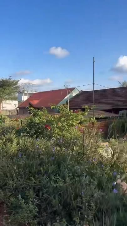 Đất nền 120m² thổ cư tại xã Ea Ral, giá chỉ 549 triệu - Gần Quốc lộ!