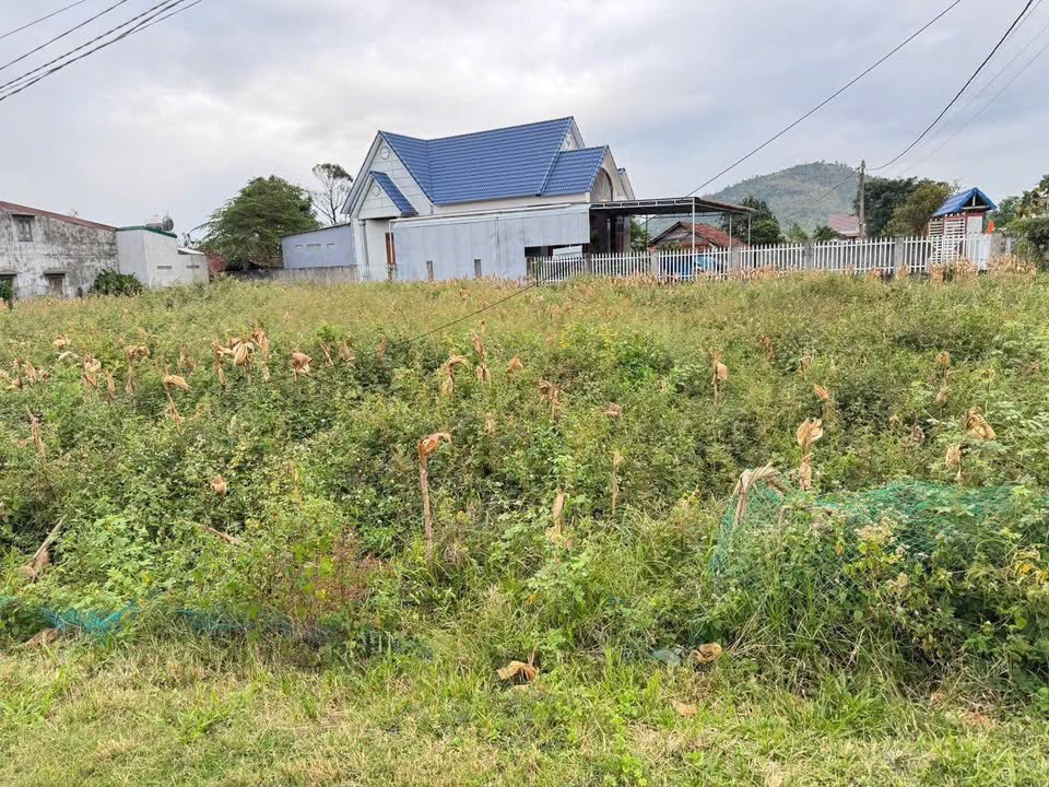 Đất thổ cư 203m² tại xã Ea Wy - Giá 70 triệu/m², đầu tư sinh lời!