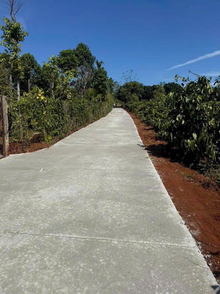 Đất nền Thôn 4, Xã Ea Ral 150m² giá chỉ 3xx triệu - Đầu tư sinh lời ngay!