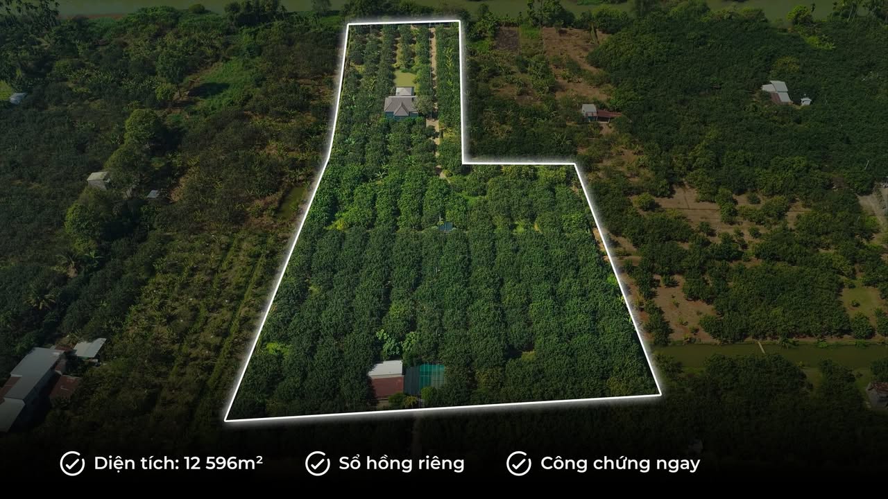 Farm 12.596m² tại Tân Triều, Đồng Nai - View sông Đồng Nai, giá thương lượng