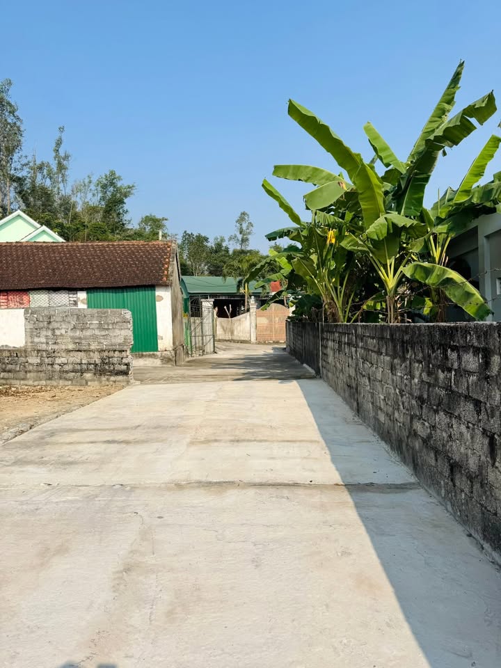 Đất Xuân Sơn 222m² giá chỉ 599 triệu - Cơ hội đầu tư tuyệt vời!