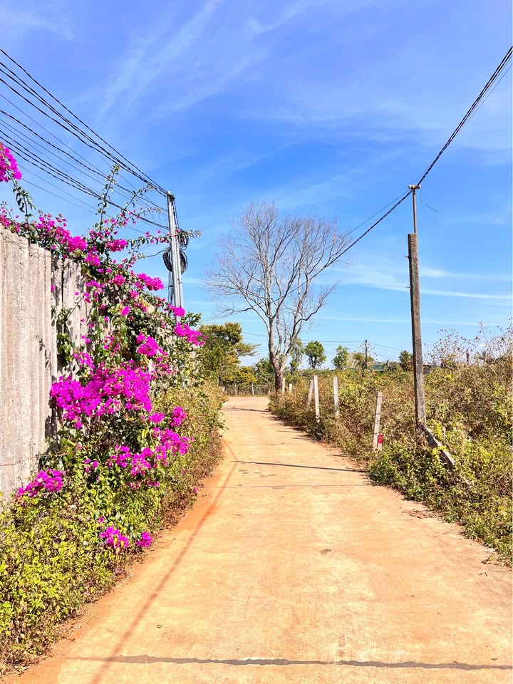 Đất thổ cư Nguyễn Tuân 175m² giá chỉ 600 triệu - Cơ hội đầu tư hấp dẫn!