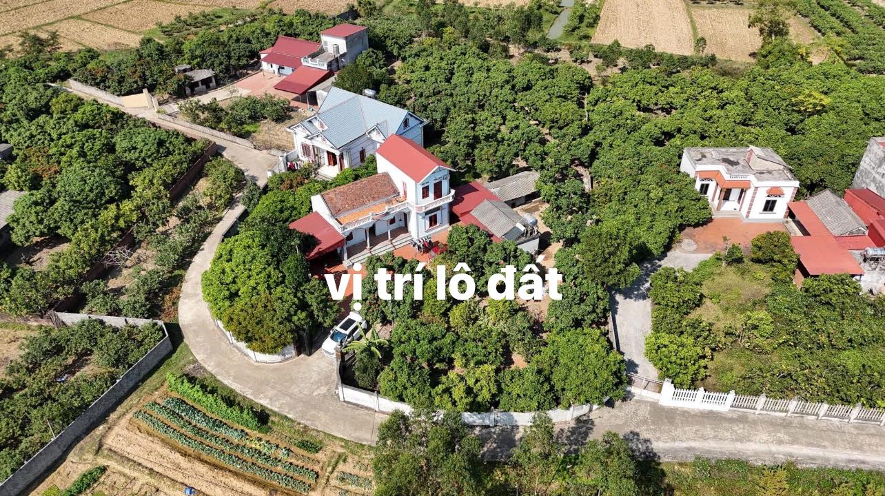 Đất thổ cư 1500m² tại Cao Thượng, Tân Yên - Giá chỉ 1.9 tỷ!