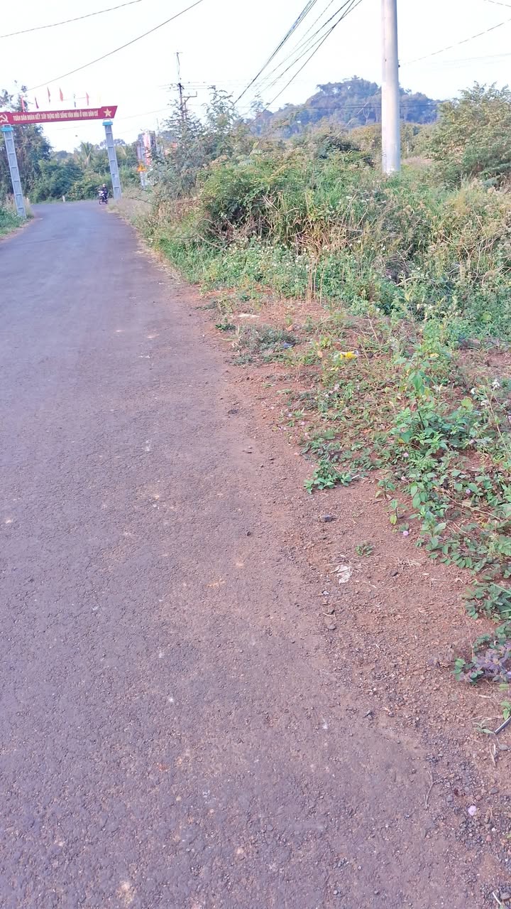 Đất nền Đăk Rót, 300m² chỉ 210 triệu - Cơ hội đầu tư tuyệt vời!