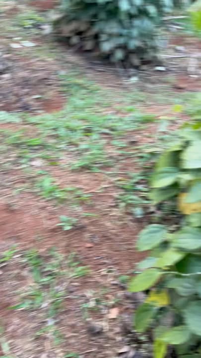 Đất nền Đăk tích 14000m² giá 2 tỷ - Cơ hội đầu tư hấp dẫn!