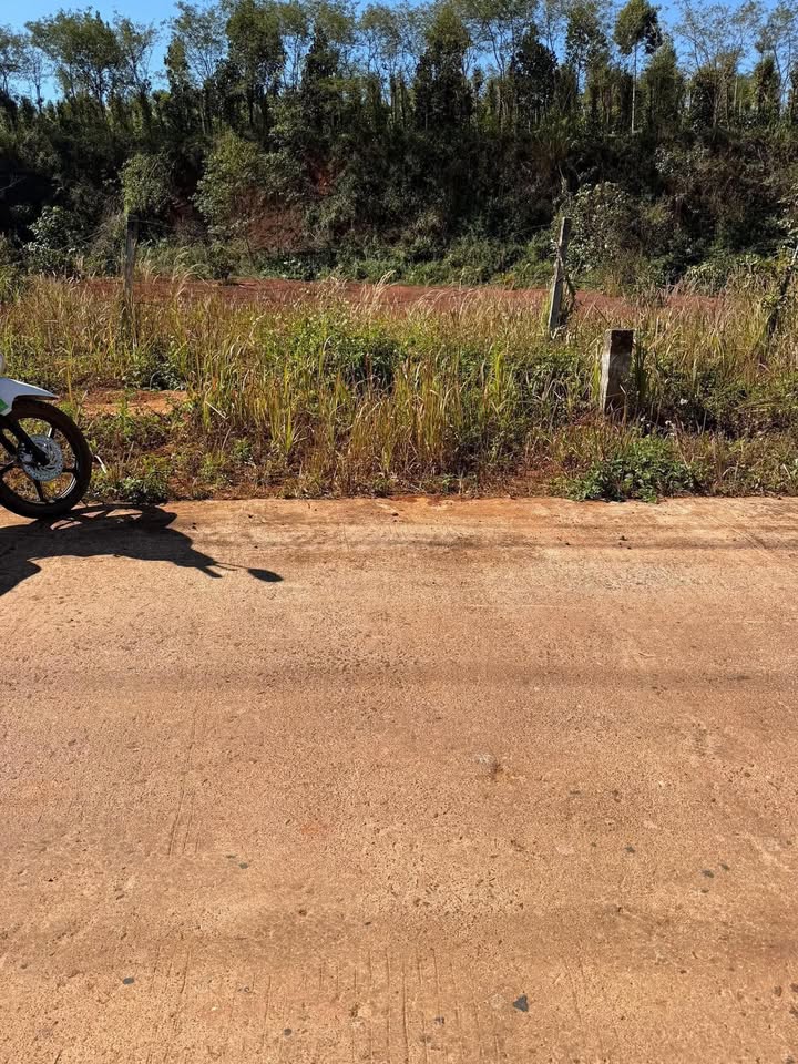 Đất nền 550m² xã Đức An, Đắk Song giá 820 triệu - Hỗ trợ vay ngân hàng lên đến 600 triệu!