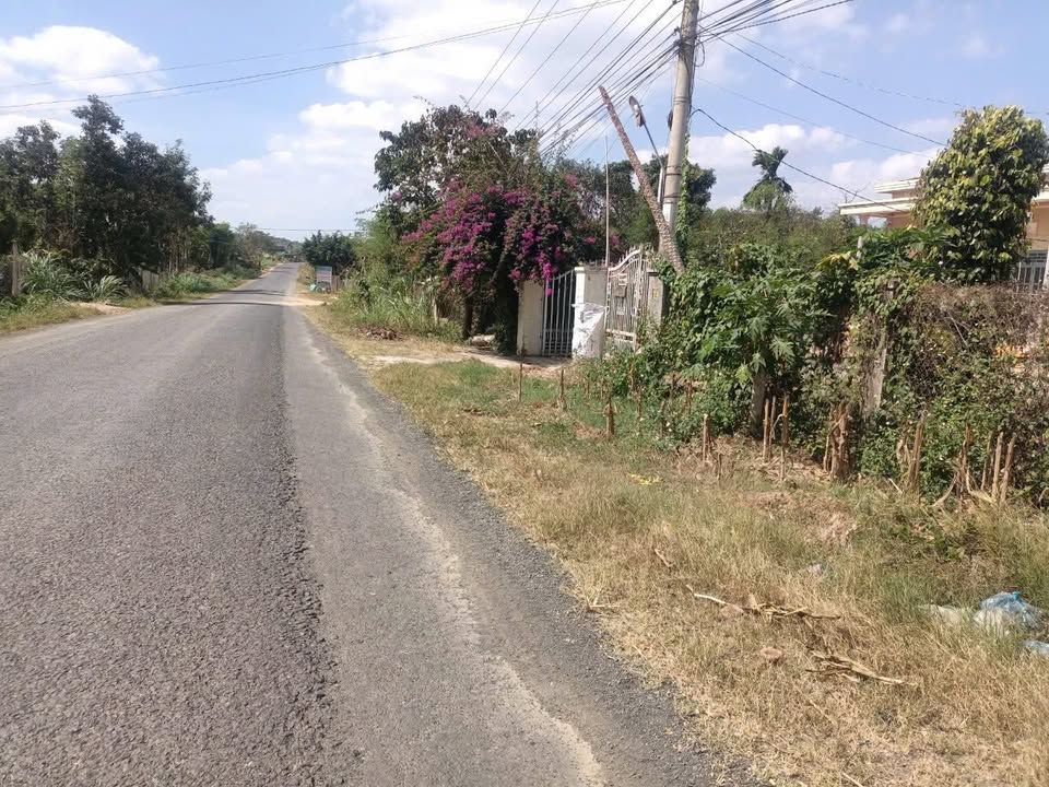 Đất thổ cư 2000m² tại TL 683, Krông Nô, Đắk Nông - Giá 2 tỷ, Sẵn sàng xây dựng!