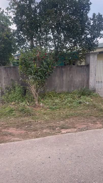 Đất nền 100m² tại Xã Hải Lạng, Huyện Tiên Yên - Đầu tư tiềm năng cao!