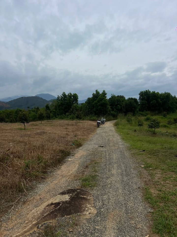 Đất 1,9 héc tại xã Hà Lâm, huyện Đạ Huoai - Giá 5,5 tỷ - Pháp lý rõ ràng!