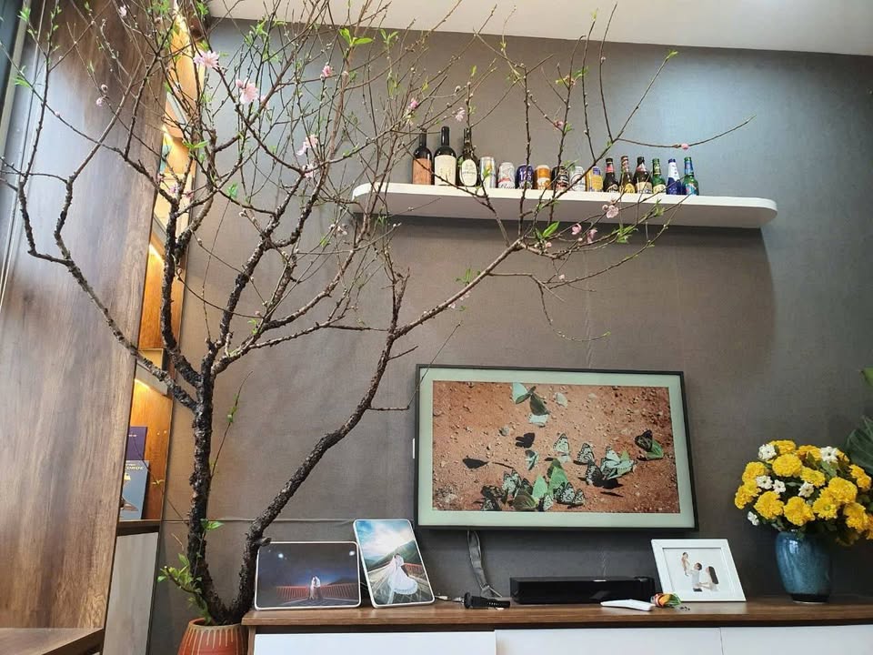 Căn hộ Hà Nội Homeland 58m² giá 4.69 tỷ - Sổ đỏ chính chủ, nhà mới hoàn hảo!