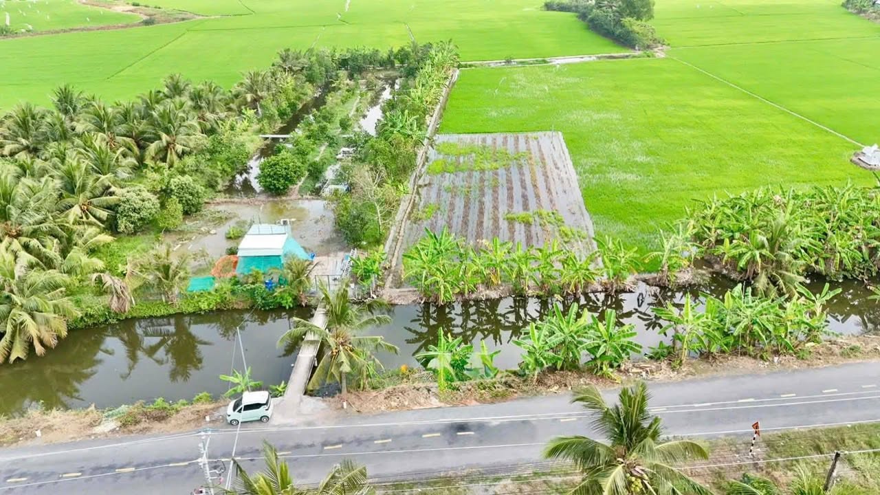 Đất nông nghiệp 1000m² tại Phường Bình Xuân, Gò Công - Chỉ 900 triệu