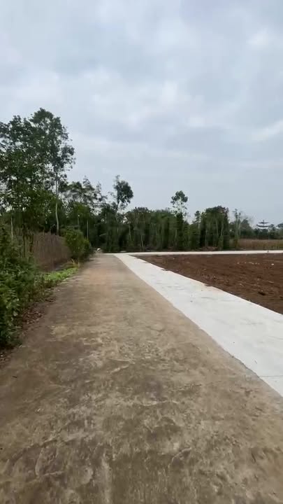 Đất nền Xuân Tây Cẩm Mỹ 150m² giá thỏa thuận - Sổ sẵn, sang tên ngay!