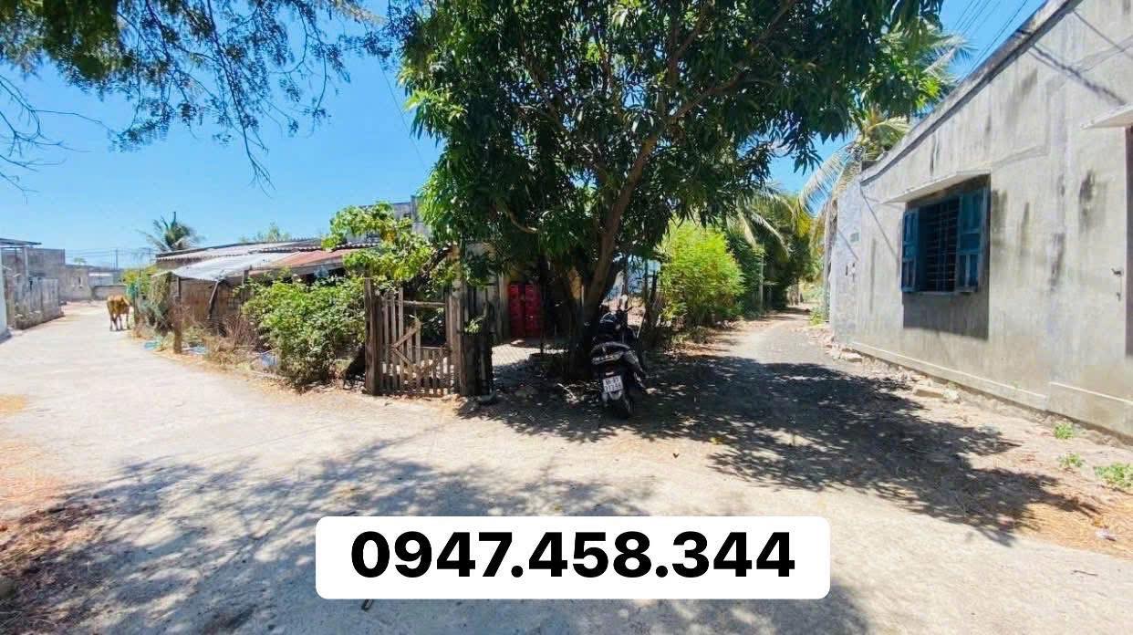Đất nền ven biển Phan Rí Cửa, 130m² chỉ 550 triệu - Cơ hội đầu tư hiếm có!