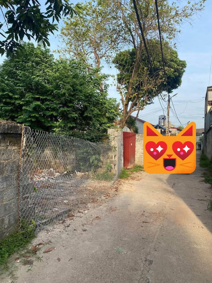 Đất thổ cư Tổ 7 Quang Vinh 107m² giá 1 tỷ - Gần chợ, trường học!