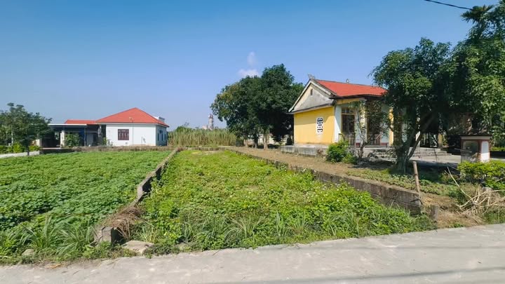 Đất nền Giáp Thượng, Hương Văn 117m² giá chỉ 4xx triệu - Cơ hội đầu tư tuyệt vời!