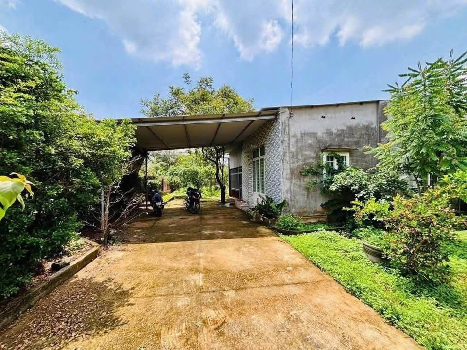 Farm đất vườn 3.800m² Huyện Bình Chánh giá 490 triệu - Sổ hồng chính chủ sang tên ngay!