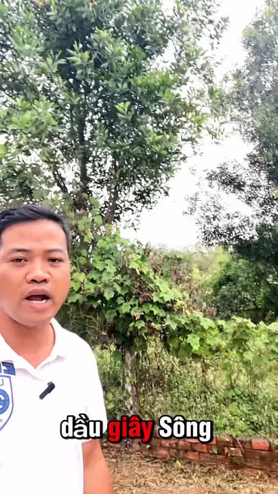 Đất nền 1.161m² tại Sông Nhạn-Dầu Giây, 2.1 tỷ - Gần sân bay Long Thành!