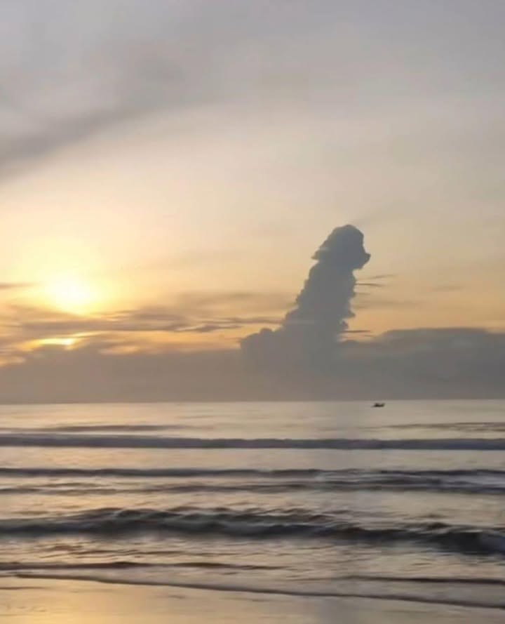 Đất biển Tam Tiến, Núi Thành, Quảng Nam 200m² - Vị trí đắc địa gần biển!