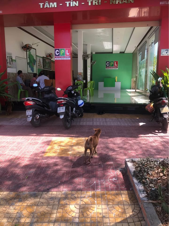 Cho thuê mặt tiền đường Nguyễn Thị Minh Khai, Bình Sơn 122m² - Phù hợp mở văn phòng, kinh doanh!