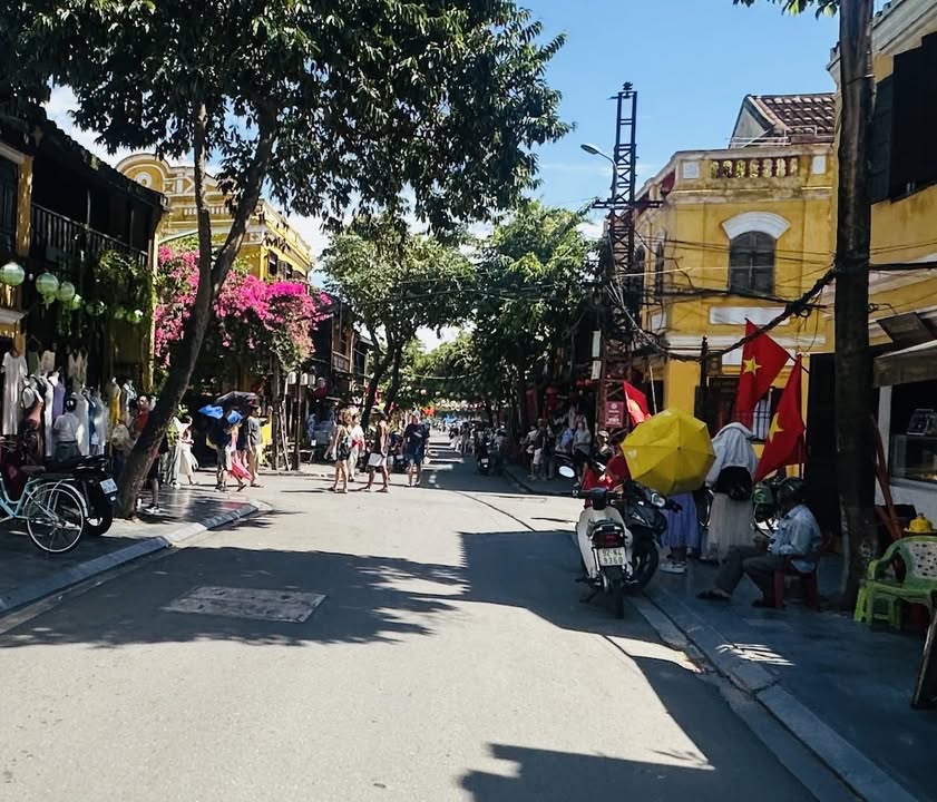 Đất mặt tiền Nguyễn Phúc Tần, Hội An 292,1m² giá 38,2 tỷ - Cơ hội đầu tư vàng!