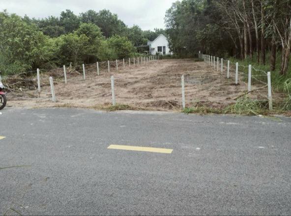 Đất nền Bàu Bàng 550m² - Mặt tiền 8m - Cơ hội đầu tư sinh lời!
