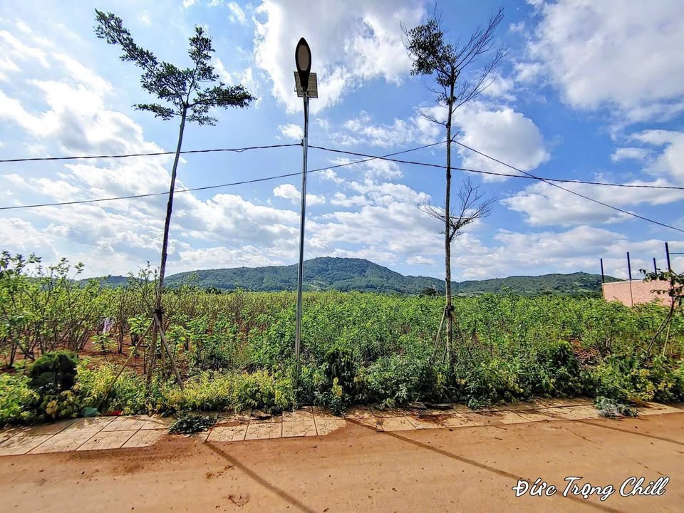 Đất thổ cư Xã Liên Hiệp, Đức Trọng 75m² chỉ 1.25 tỷ - Sổ hồng riêng, chính chủ!