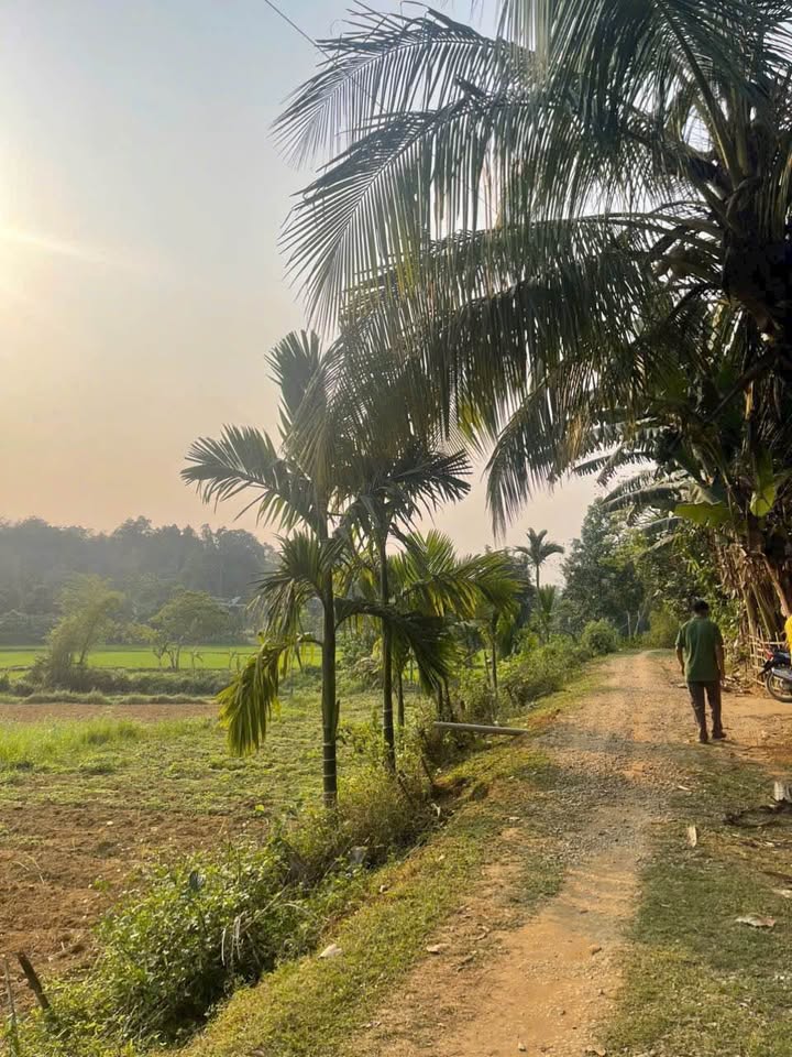 Đất Lạc Sơn, Hòa Bình 1000m² giá chỉ 300 triệu - View cánh đồng tuyệt đẹp!